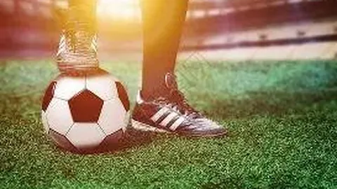 bwin必赢官方网站 资讯 125343 9wa